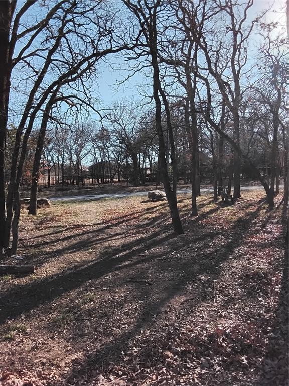 1159 Mikus Road Weatherford, TX 76087 - Photo 12 of 22 a view of a yard with trees
