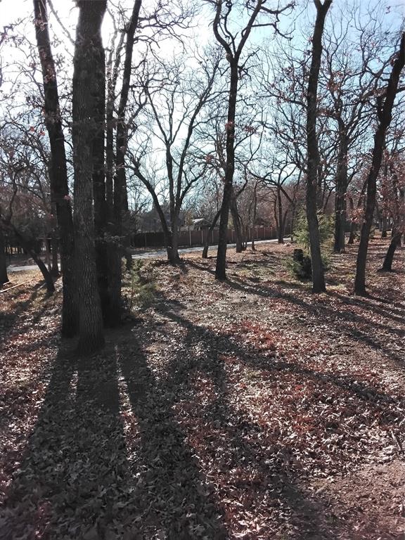 1159 Mikus Road Weatherford, TX 76087 - Photo 13 of 22 a backyard of a house with lots of green space