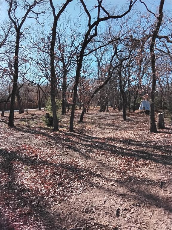 1159 Mikus Road Weatherford, TX 76087 - Photo 14 of 22 a view of dirt yard with a large tree