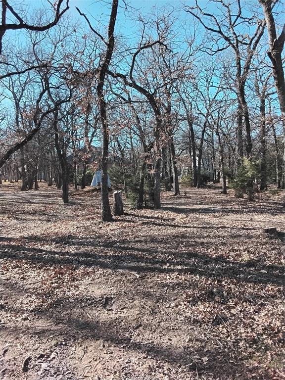 1159 Mikus Road Weatherford, TX 76087 - Photo 15 of 22 a view of outdoor space with trees