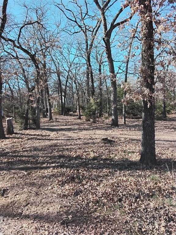 1159 Mikus Road Weatherford, TX 76087 - Photo 16 of 22 a view of outdoor space with lots of trees