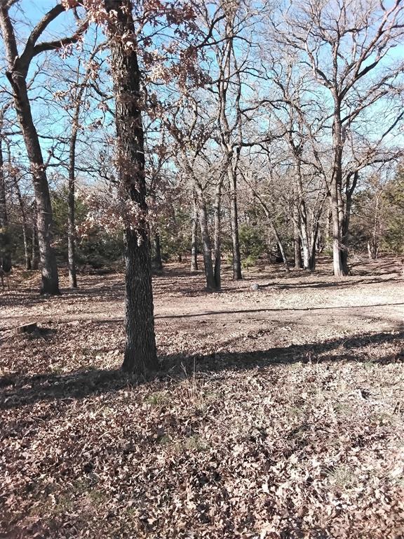 1159 Mikus Road Weatherford, TX 76087 - Photo 17 of 22 a view of dirt yard with a large tree