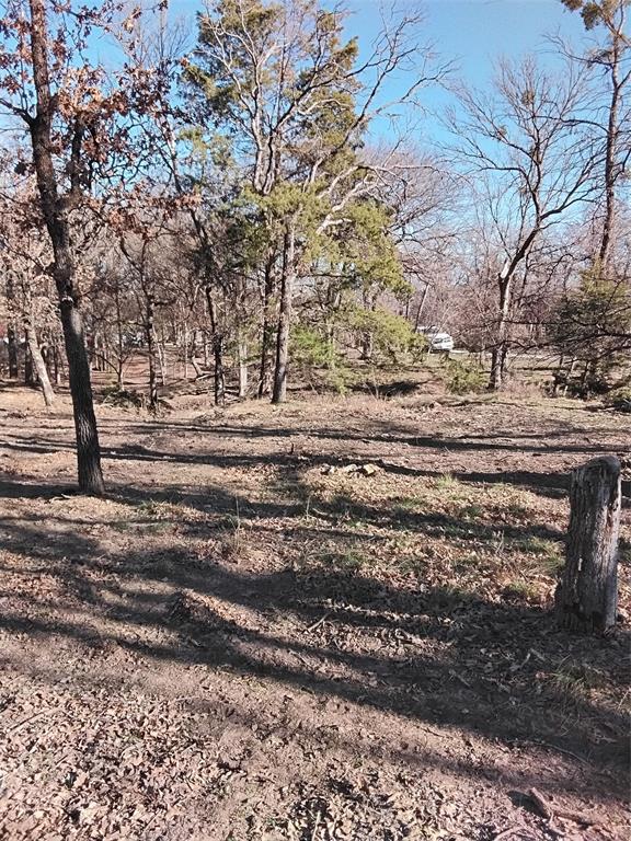1159 Mikus Road Weatherford, TX 76087 - Photo 18 of 22 a view of a yard next to a road
