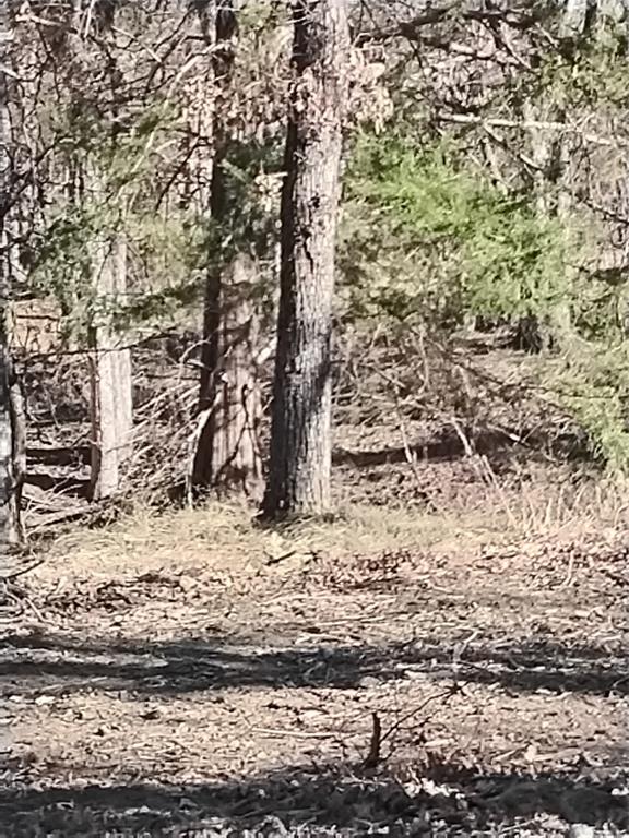 1159 Mikus Road Weatherford, TX 76087 - Photo 19 of 22 a view of a road with a yard