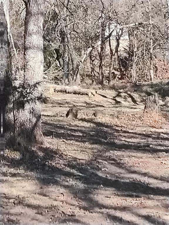 1159 Mikus Road Weatherford, TX 76087 - Photo 20 of 22 a view of a yard with wooden fence