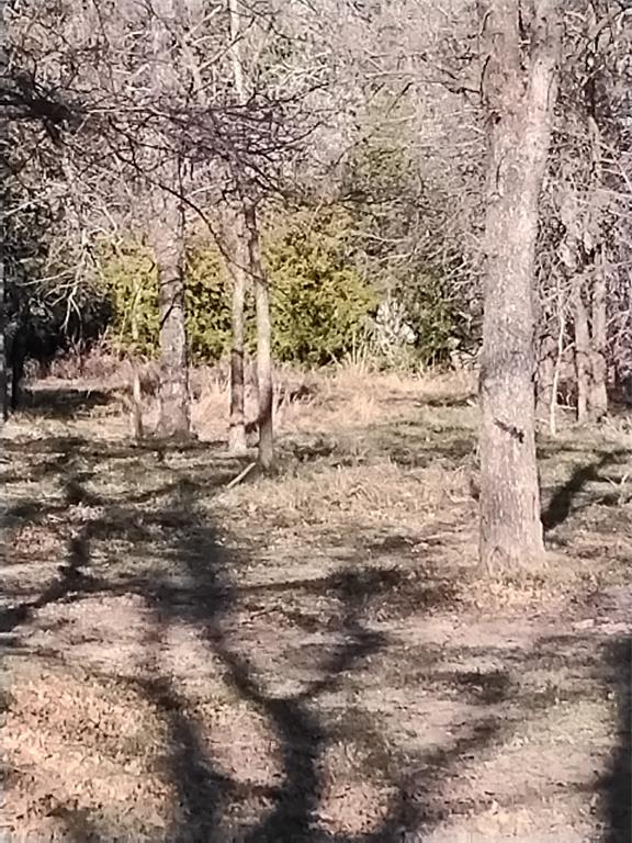 1159 Mikus Road Weatherford, TX 76087 - Photo 21 of 22 a view of outdoor space with wooden fence