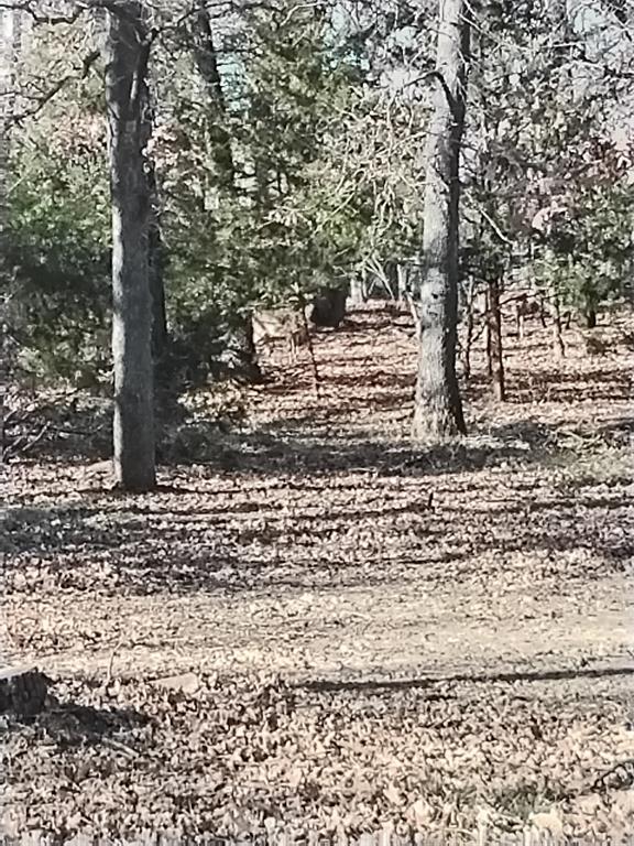 1159 Mikus Road Weatherford, TX 76087 - Photo 22 of 22 a view of a yard