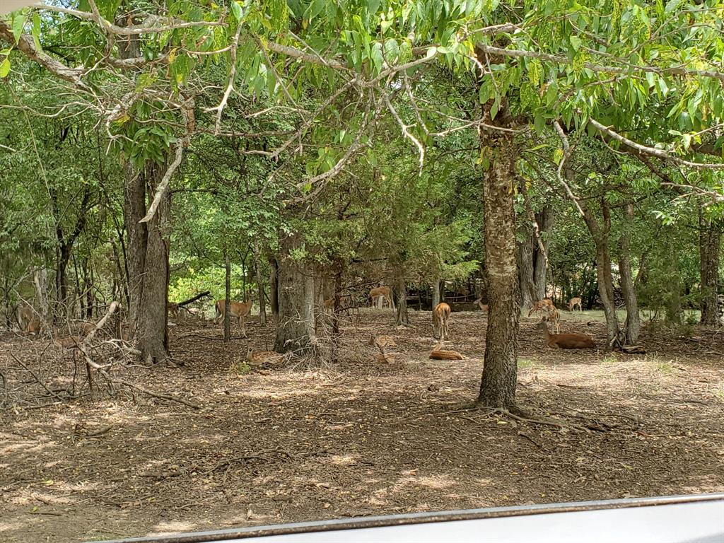 1159 Mikus Road Weatherford, TX 76087 - Photo 3 of 22 a backyard of a house with lots of green space