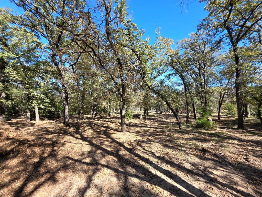 1159 Mikus Road Weatherford, TX 76087 - Photo 5 of 22 a view of dirt yard with a large tree
