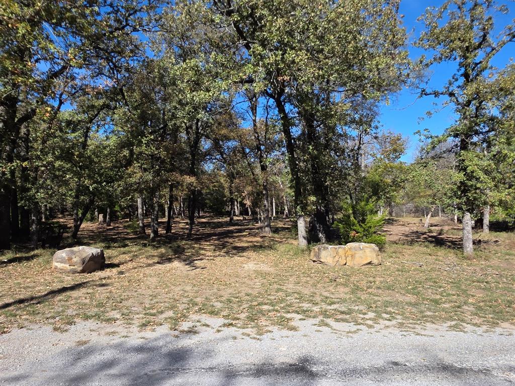 1159 Mikus Road Weatherford, TX 76087 - Photo 6 of 22 a view of a yard with snow on the road
