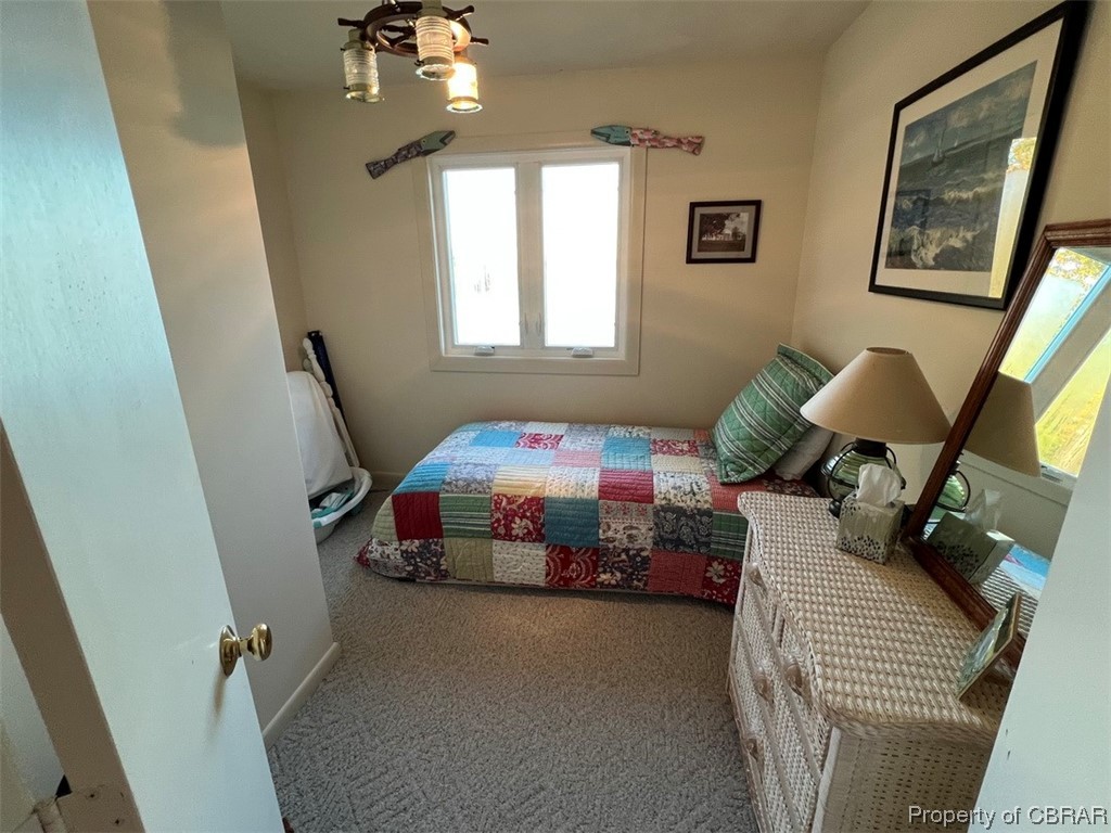790 Long Point Lane Topping, VA 23169 - Photo 22 of 26 Bedroom featuring multiple windows and carpet