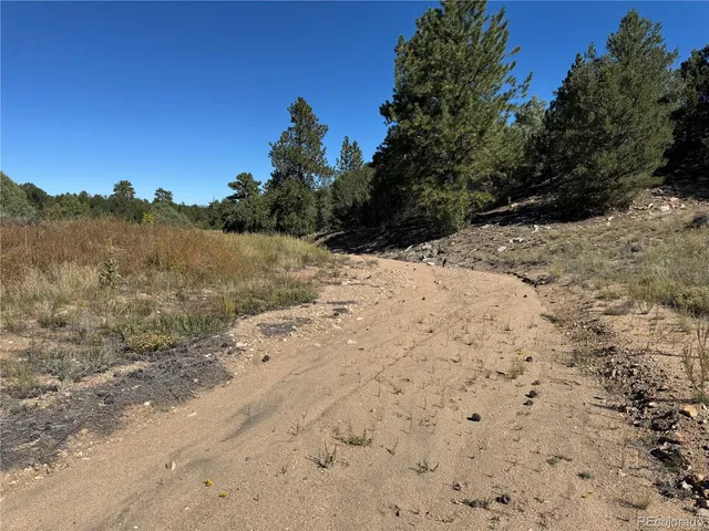 a view of a yard with a tree