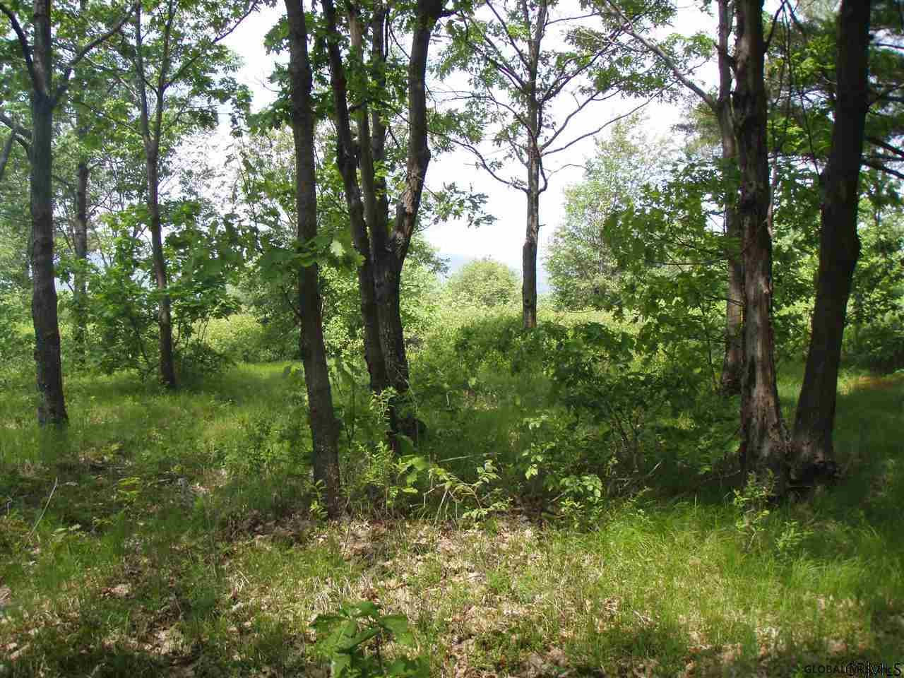 Donlan Heights Road Middleburgh, NY 12122 - Photo 11 of 17 Photo 11