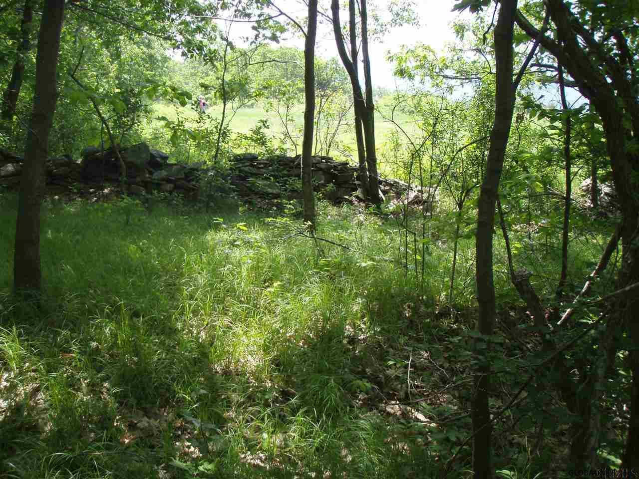 Donlan Heights Road Middleburgh, NY 12122 - Photo 12 of 17 Photo 12