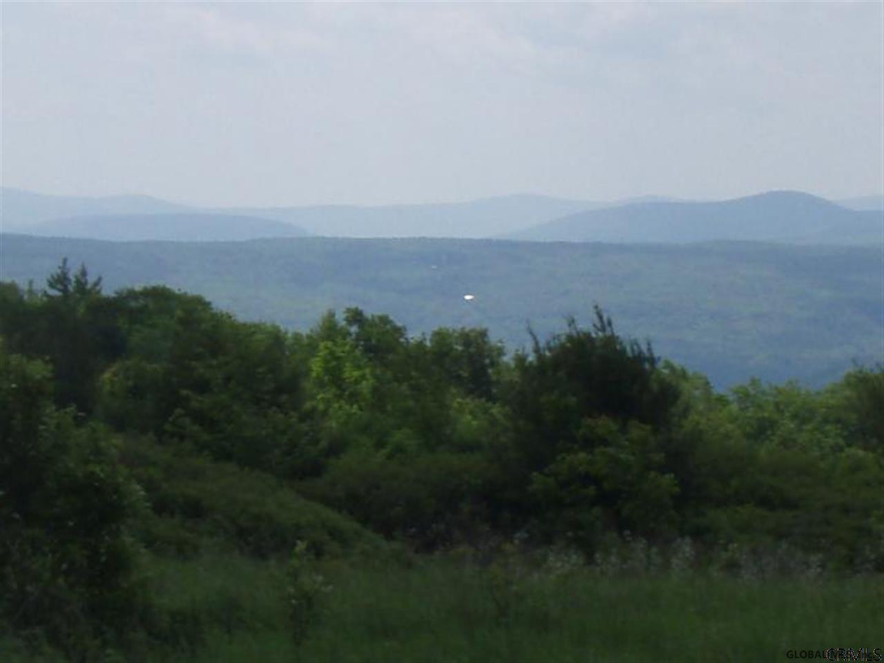 Donlan Heights Road Middleburgh, NY 12122 - Photo 13 of 17 Photo 14