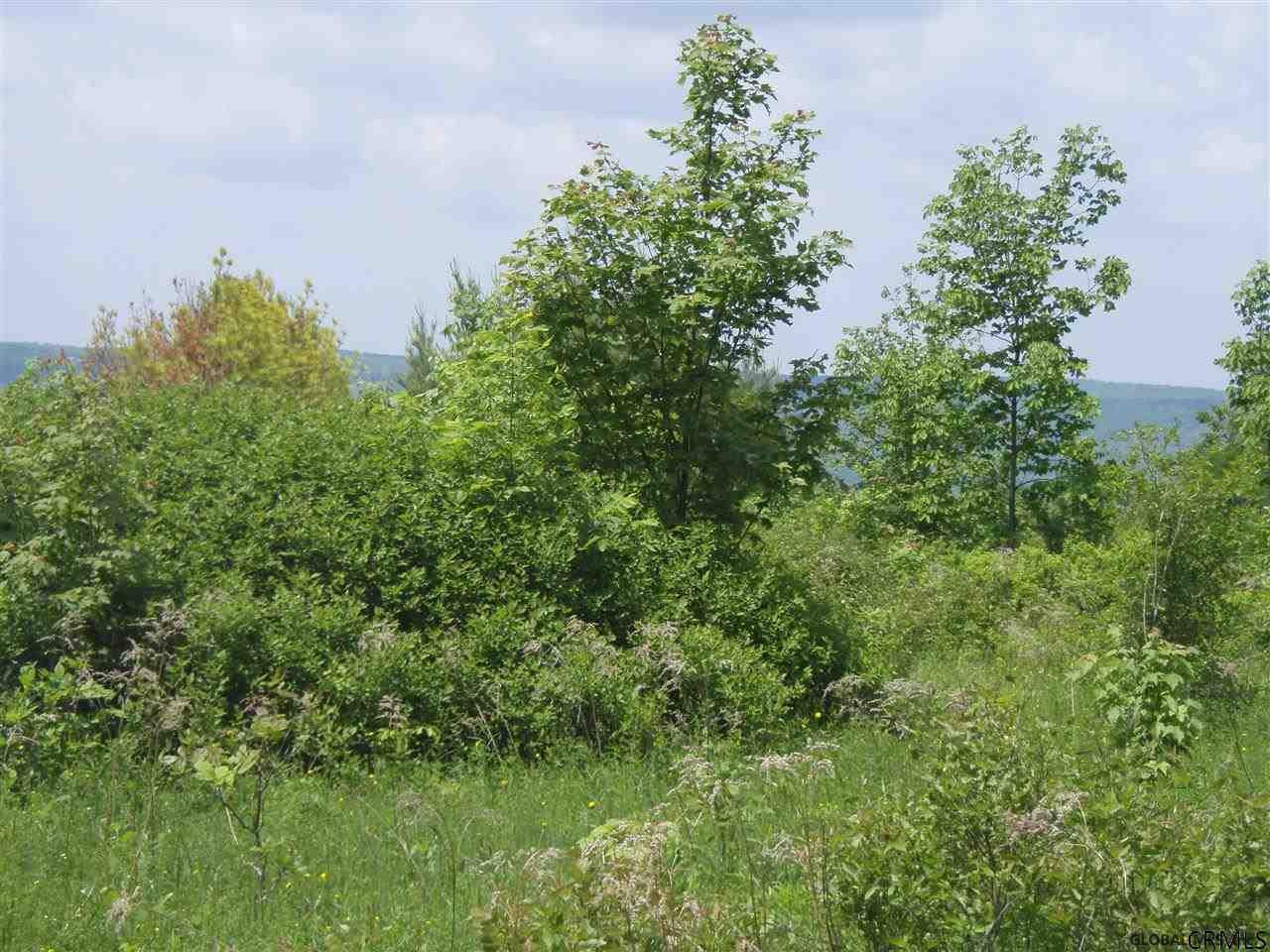 Donlan Heights Road Middleburgh, NY 12122 - Photo 3 of 17 Photo 3
