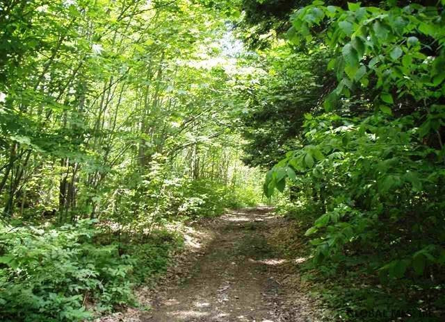 Donlan Heights Road Middleburgh, NY 12122 - Photo 4 of 17 Photo 4