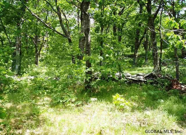 Donlan Heights Road Middleburgh, NY 12122 - Photo 5 of 17 Photo 5
