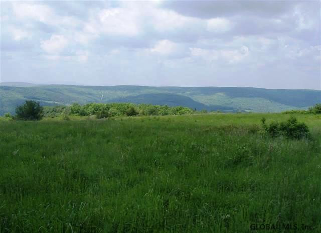 Donlan Heights Road Middleburgh, NY 12122 - Photo 6 of 17 Photo 6