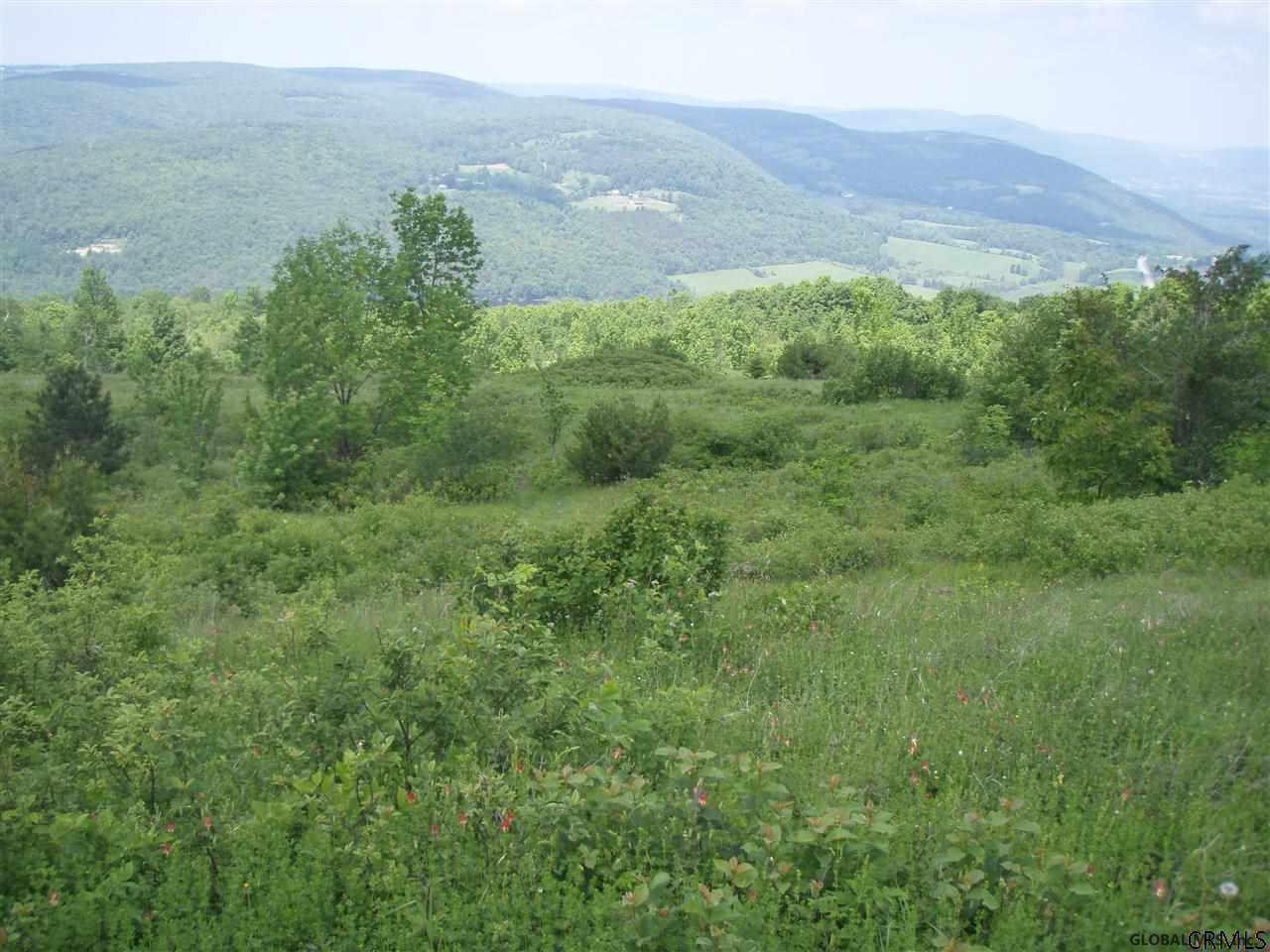 Donlan Heights Road Middleburgh, NY 12122 - Photo 7 of 17 Photo 7