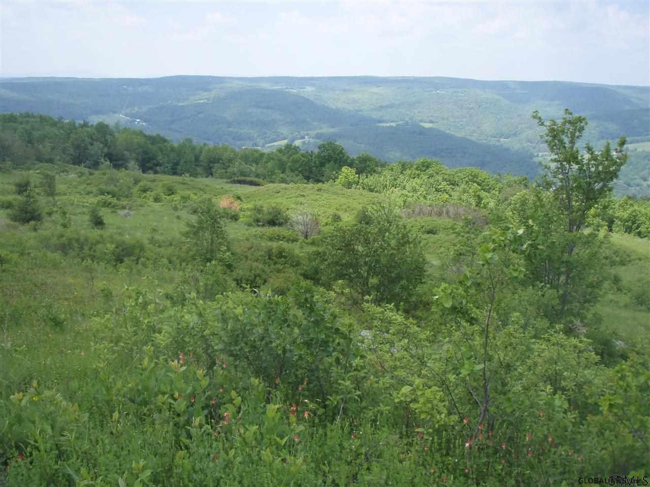Donlan Heights Road Middleburgh, NY 12122 - Photo 8 of 17 Photo 8