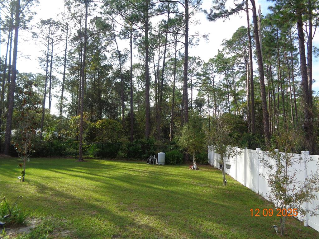 2380 8th Avenue DeLand, FL 32724 - Photo 8 of 31 a garden view