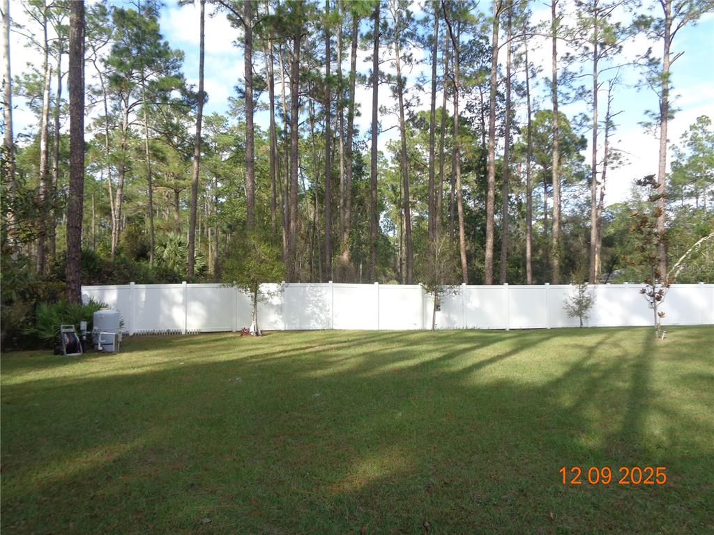 2380 8th Avenue DeLand, FL 32724 - Photo 10 of 31 a view of yard