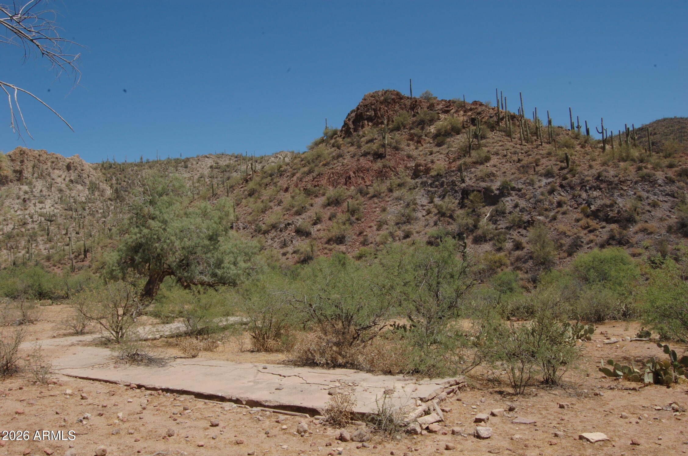 37700 Cow Creek Road, Unit 54 Morristown, AZ 85342 - Photo 19 of 42 a view of a dry yard with mountains
