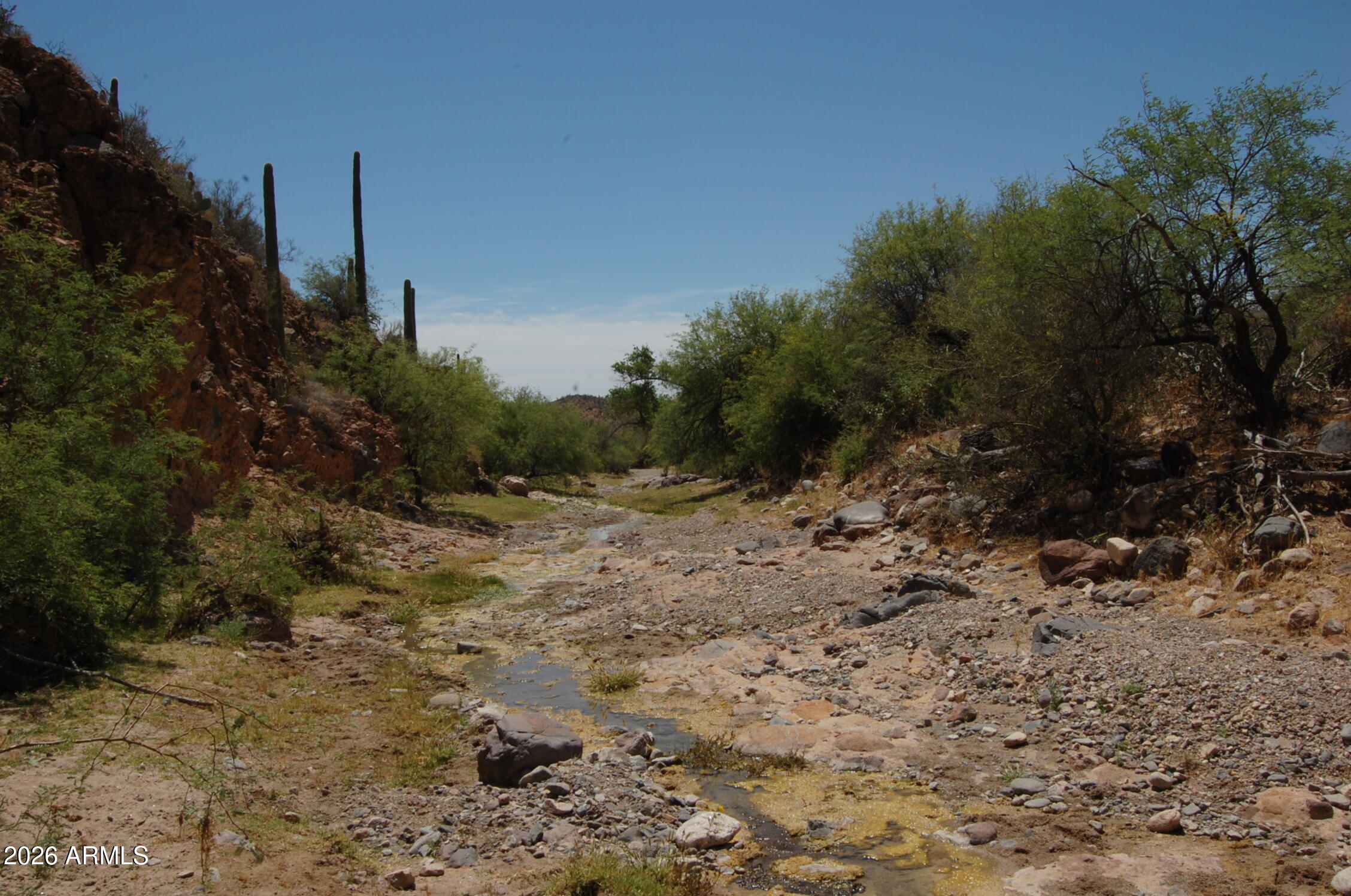 37700 Cow Creek Road, Unit 54 Morristown, AZ 85342 - Photo 24 of 42 a view of a dry yard with trees