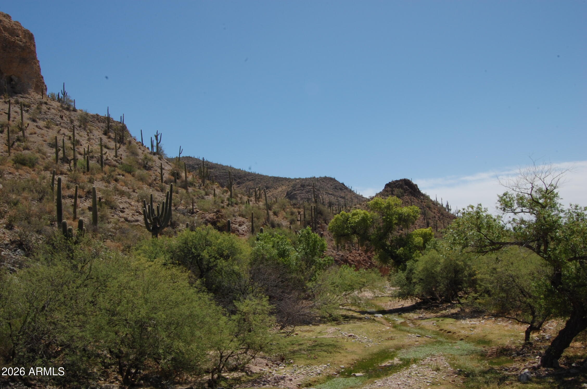 37700 Cow Creek Road, Unit 54 Morristown, AZ 85342 - Photo 3 of 42 a view of a house with a mountain and a forest