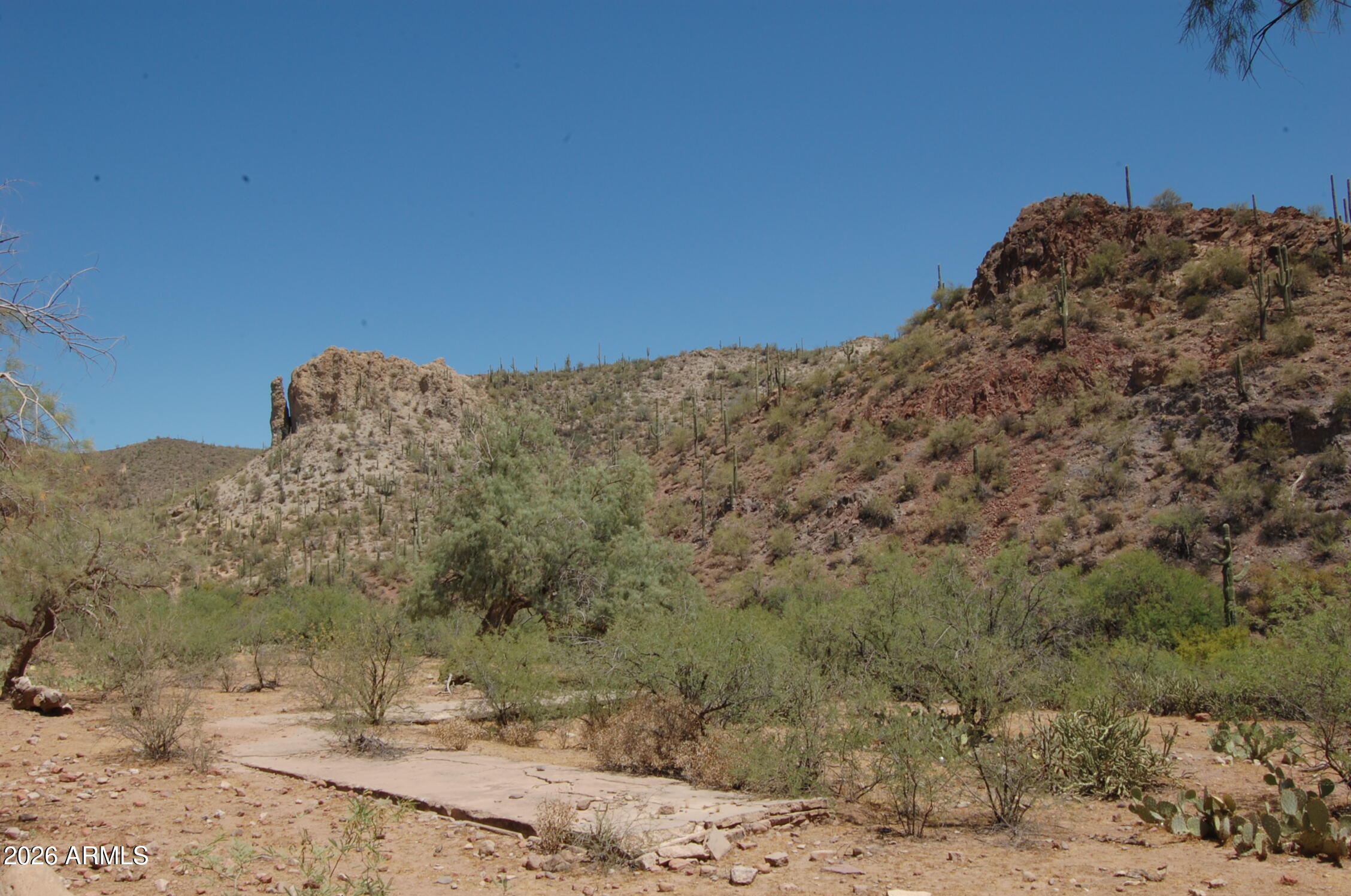 37700 Cow Creek Road, Unit 54 Morristown, AZ 85342 - Photo 5 of 42 a view of a dry yard with mountains in the background