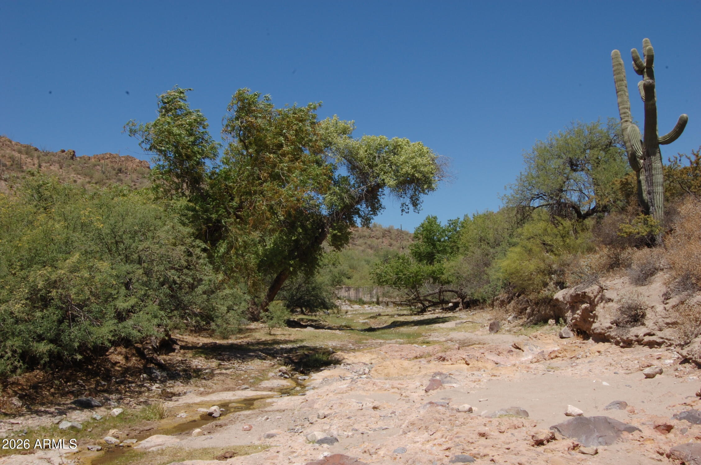 37700 Cow Creek Road, Unit 54 Morristown, AZ 85342 - Photo 6 of 42 #54 Mid lot looking toward dam