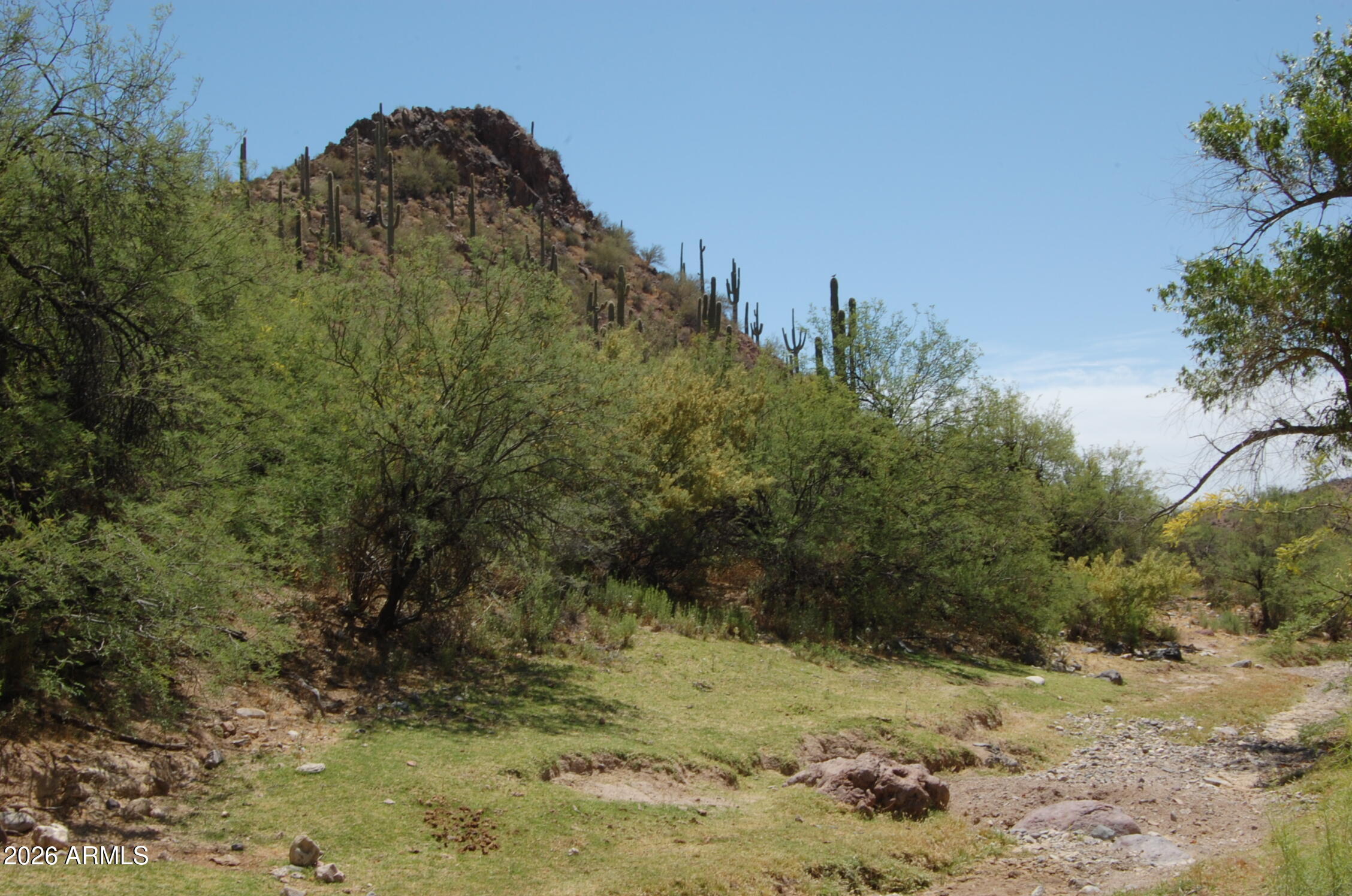 37700 Cow Creek Road, Unit 54 Morristown, AZ 85342 - Photo 7 of 42 #54 Grassy clreek view