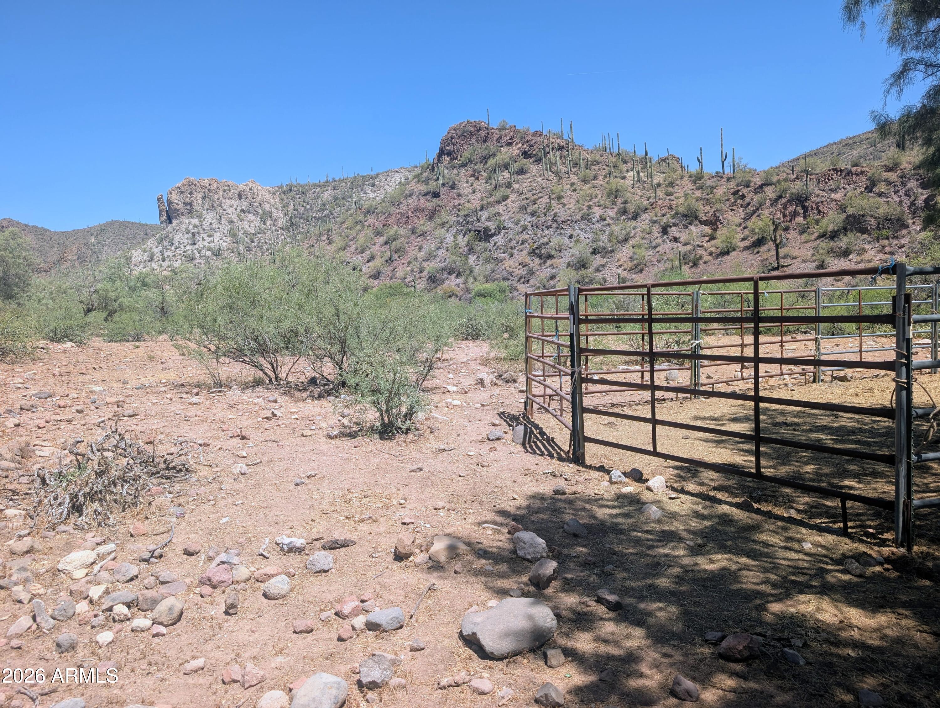 37700 Cow Creek Road, Unit 54 Morristown, AZ 85342 - Photo 9 of 42 Cattle hold