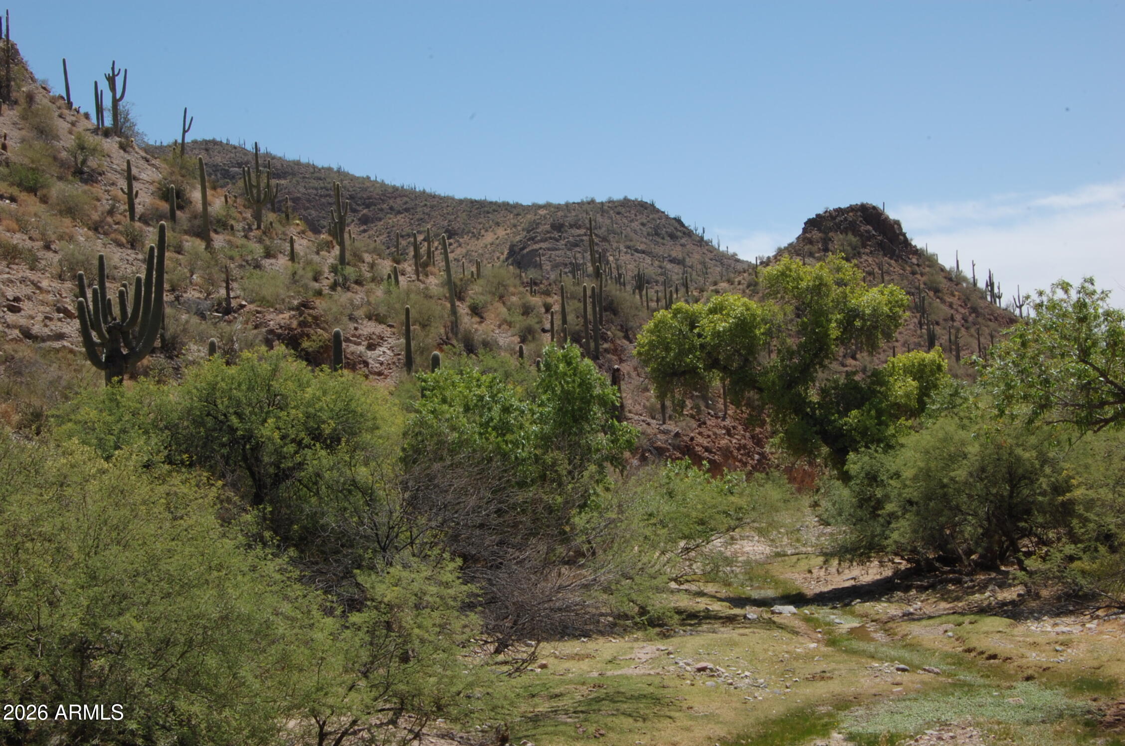 37700 Cow Creek Road, Unit 54 Morristown, AZ 85342 - Photo 10 of 42 a view of a house with a mountain and a forest