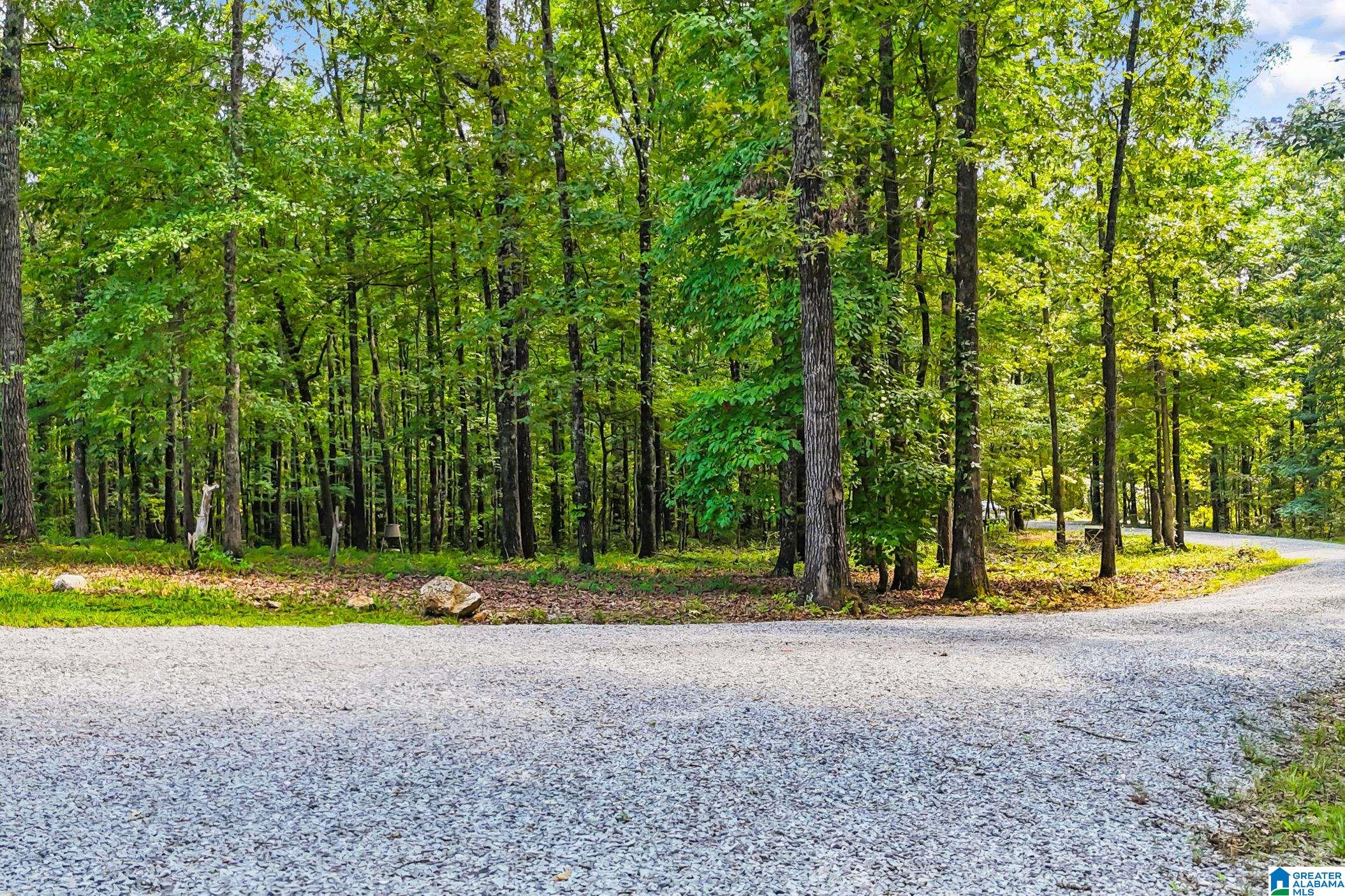 931 Newsome Road Wilsonville, AL 35186 - Photo 2 of 79