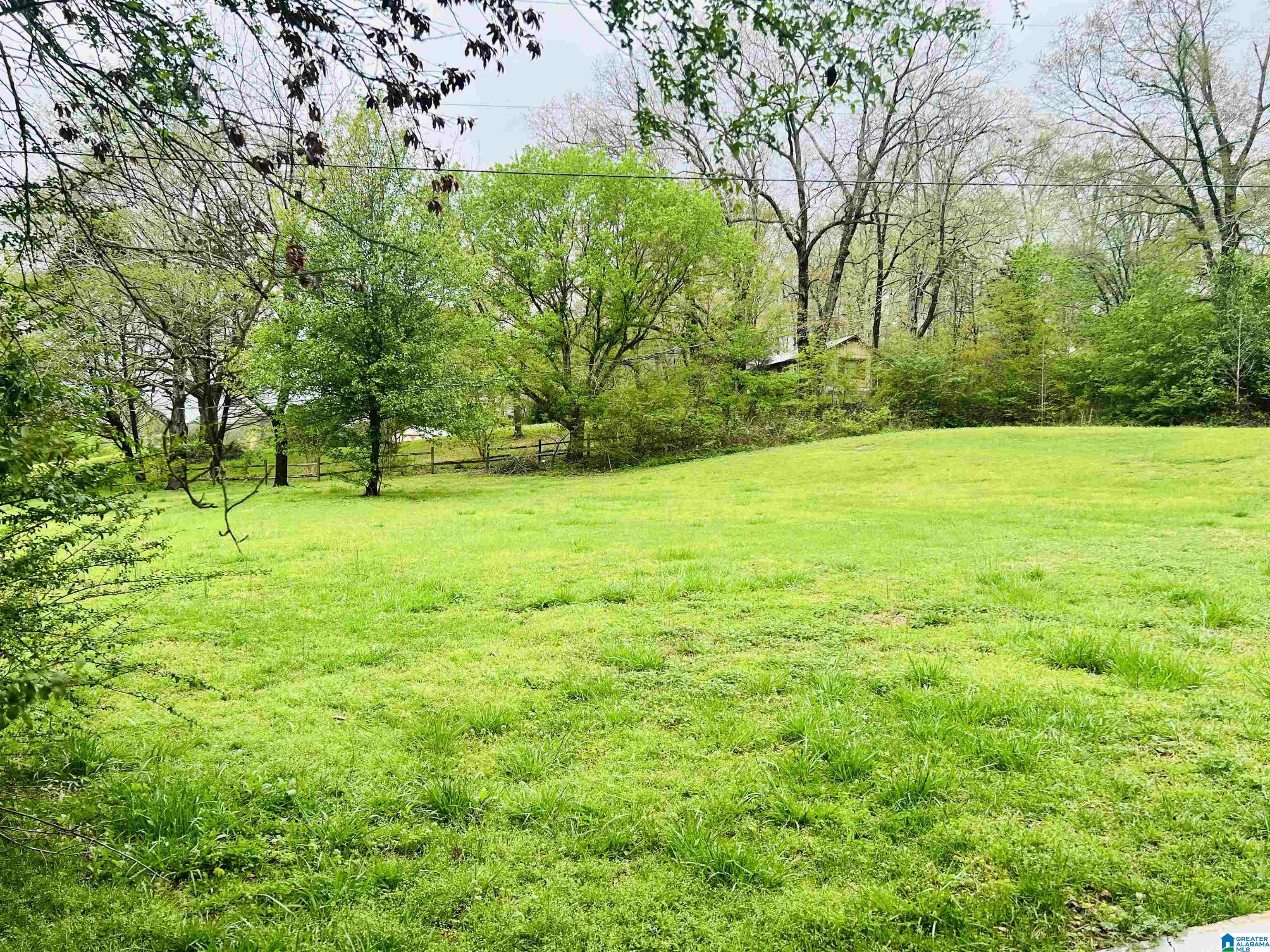 441 Ketchum Road Blountsville, AL 35031 - Photo 16 of 18