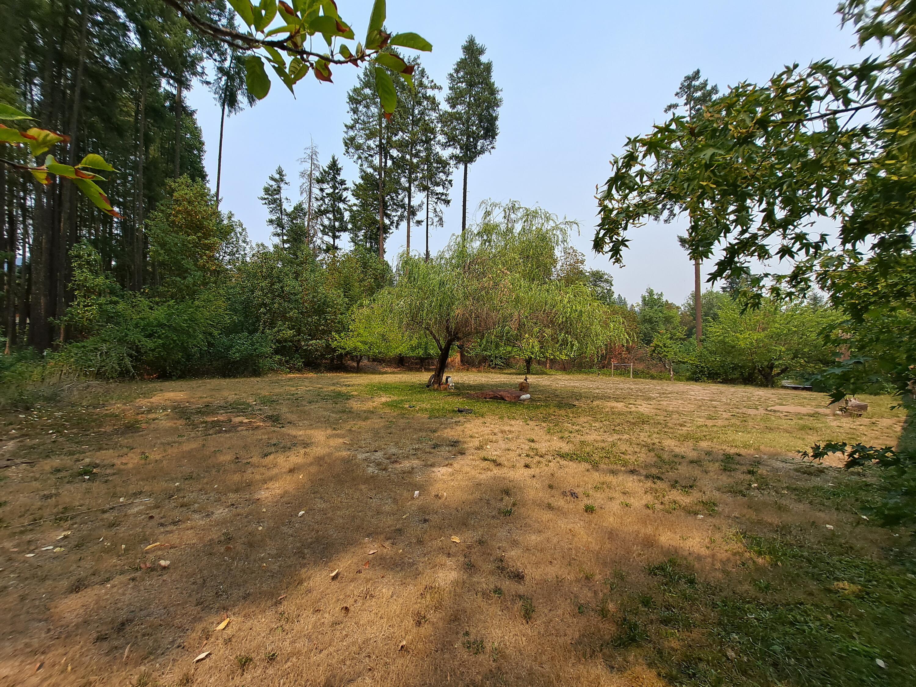 1230 Kincaid Road Williams, OR 97544 - Photo 26 of 36 Back Yard