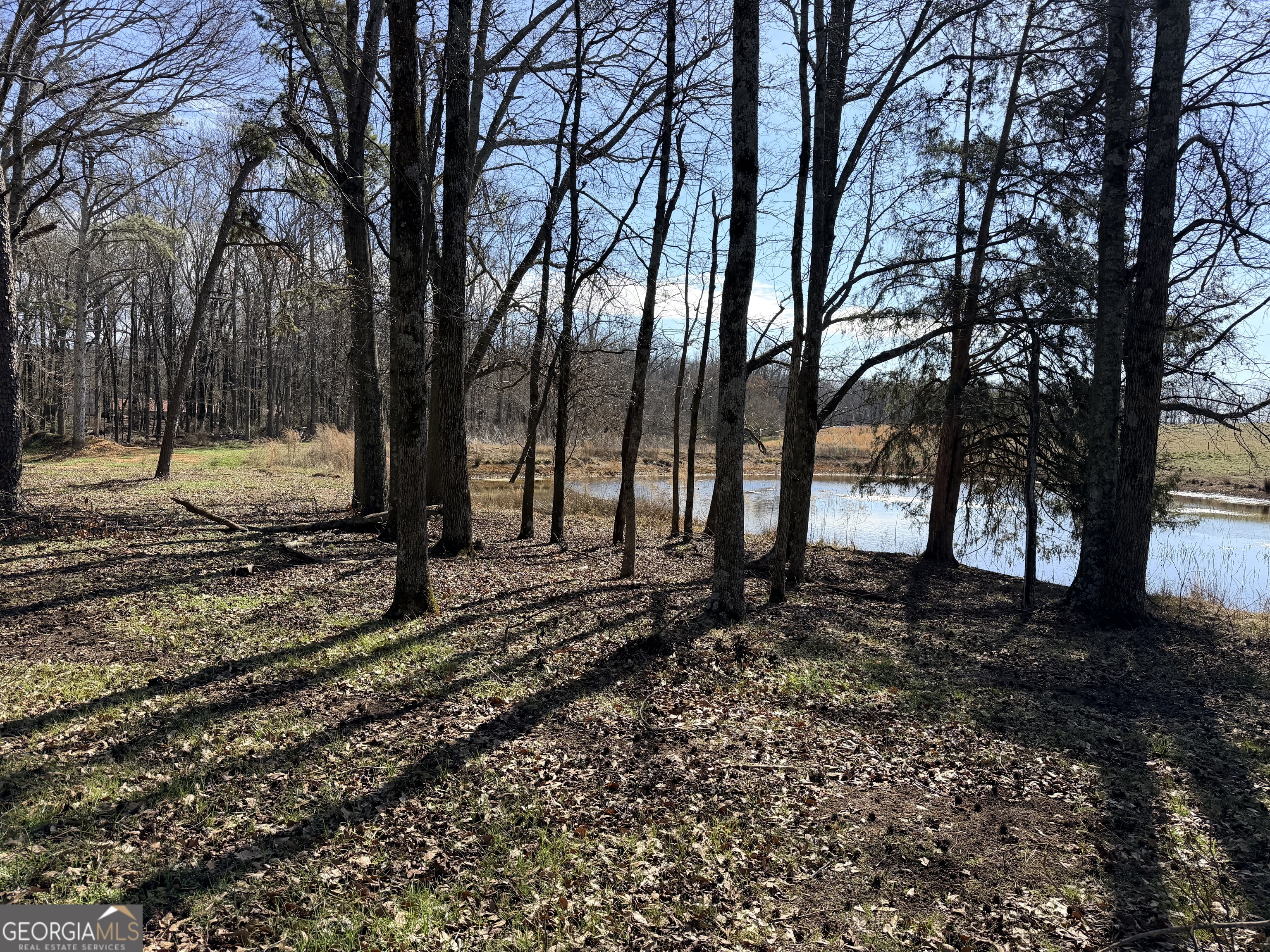 0 Adams Duncan Road, Unit TRACT 3 Hull, GA 30646 - Photo 2 of 4