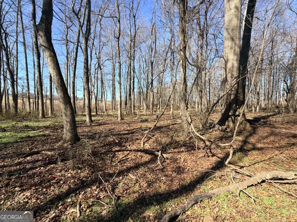 $320,000 | 0 Adams Duncan Road, Unit TRACT 3, Hull, GA 30646