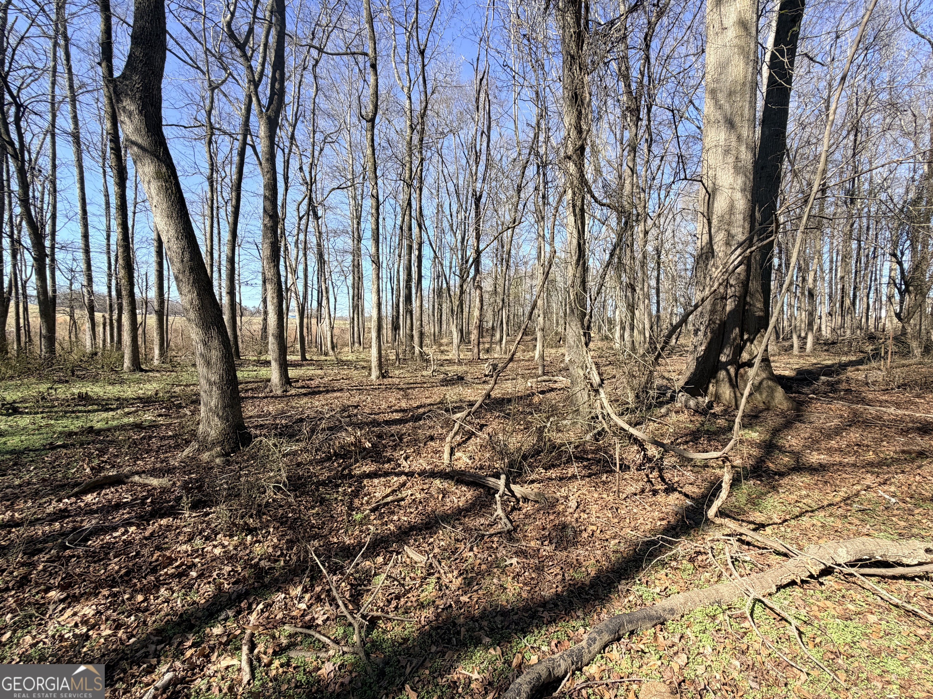 0 Adams Duncan Road, Unit TRACT 3 Hull, GA 30646 - Photo 3 of 4