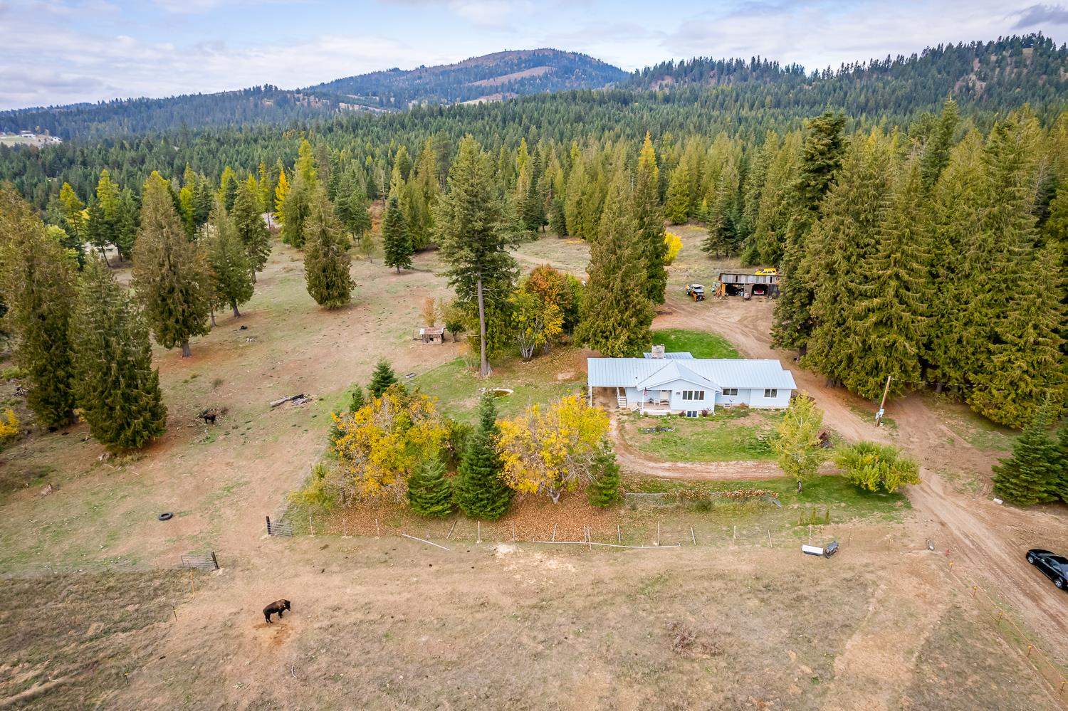 1081 North Willms Road Elk, WA 99009 - Photo 1 of 46