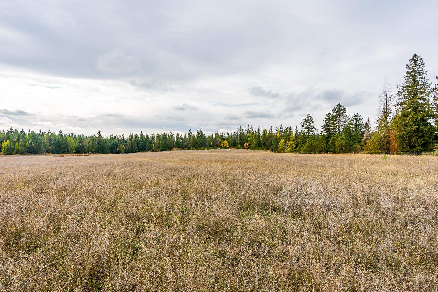 1081 North Willms Road Elk, WA 99009 - Photo 32 of 46
