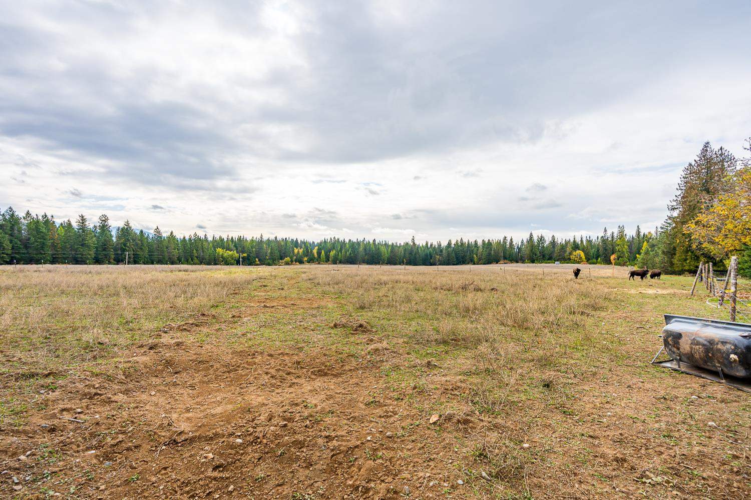 1081 North Willms Road Elk, WA 99009 - Photo 33 of 46