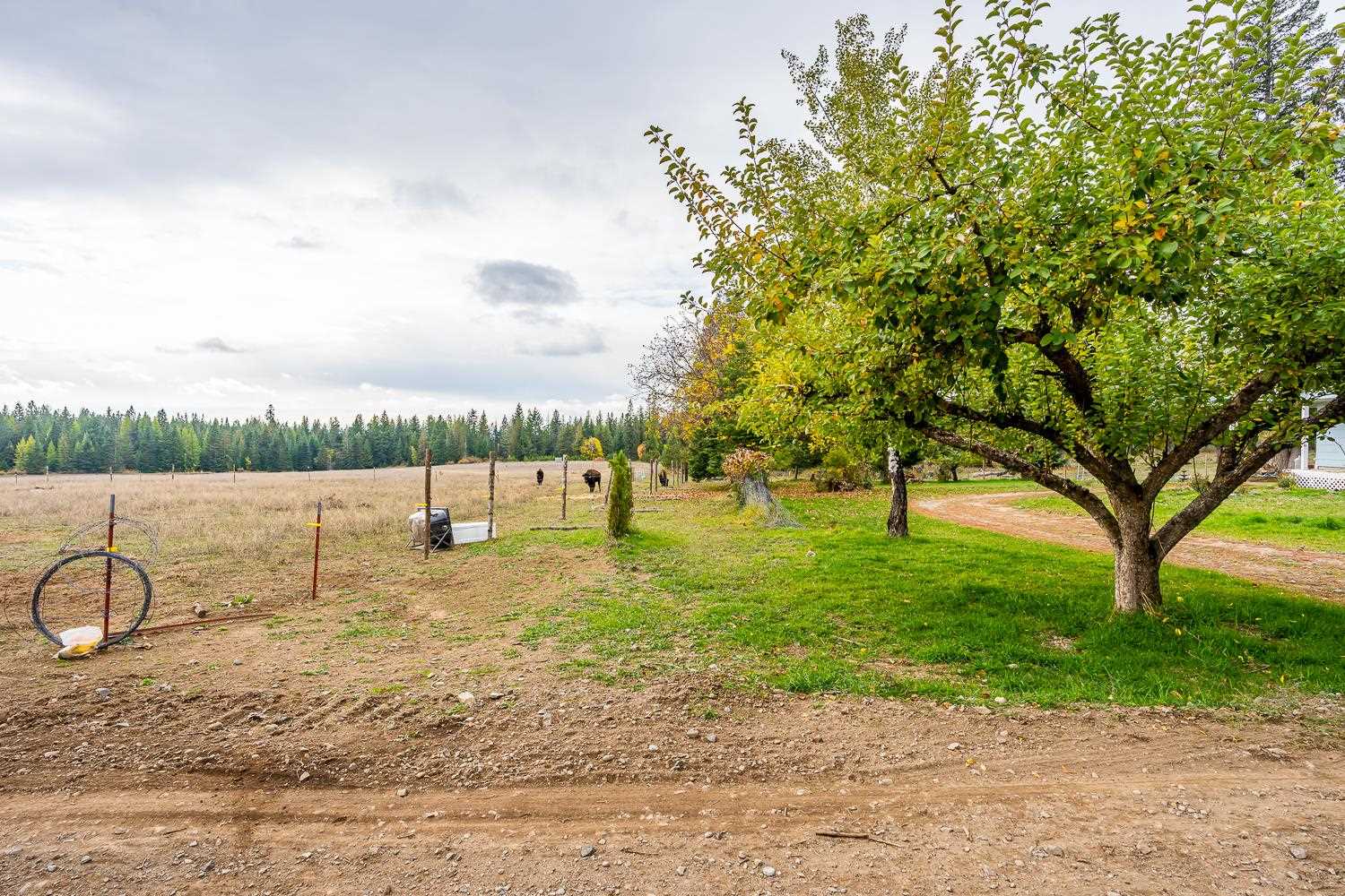 1081 North Willms Road Elk, WA 99009 - Photo 35 of 46