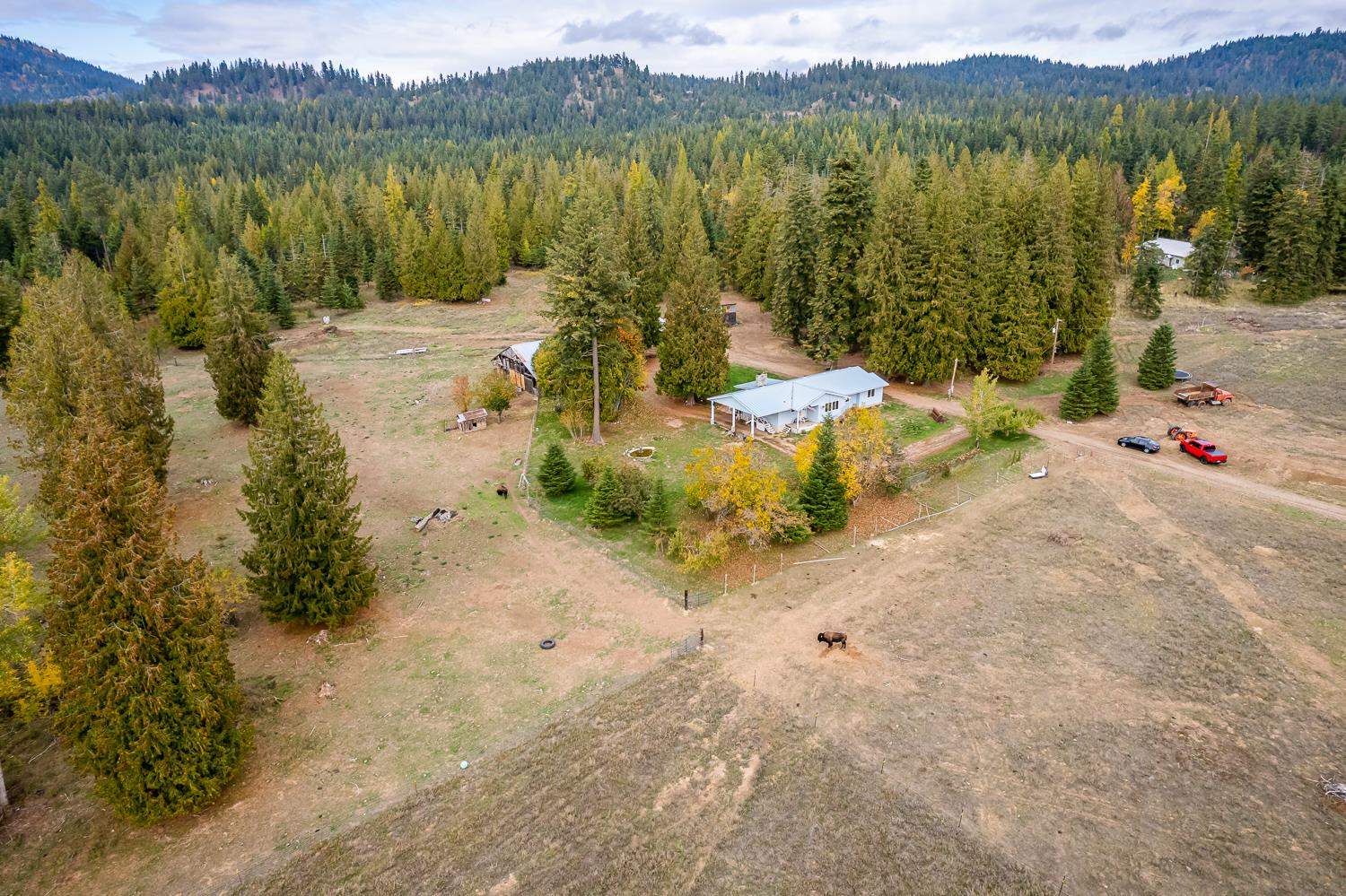 1081 North Willms Road Elk, WA 99009 - Photo 38 of 46
