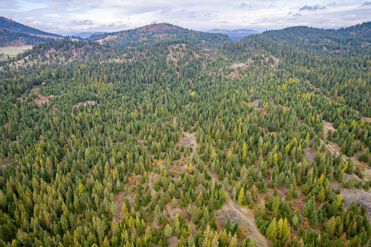 1081 North Willms Road Elk, WA 99009 - Photo 41 of 46