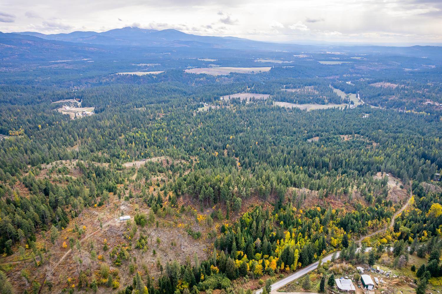 1081 North Willms Road Elk, WA 99009 - Photo 43 of 46
