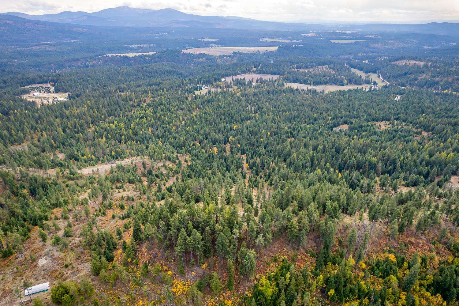 1081 North Willms Road Elk, WA 99009 - Photo 44 of 46