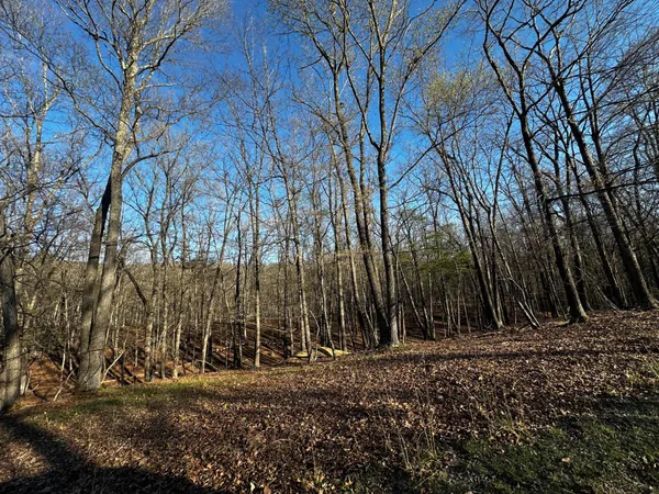 $49,900 | Crossings View Rd Road, Paw Paw, WV 25434